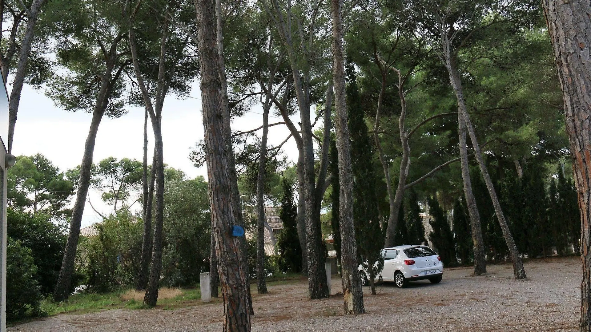 RVHotels Apartamentos Treumal Park Platja d'Aro